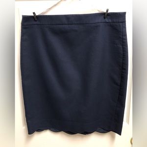 JCrew  Skirt, Size 10, Navy